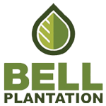 BELL_PLANTATION